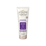 Шампунь для белых, седых и светлых волос Yellow Remover Il Salone, 250 мл, Alfaparf