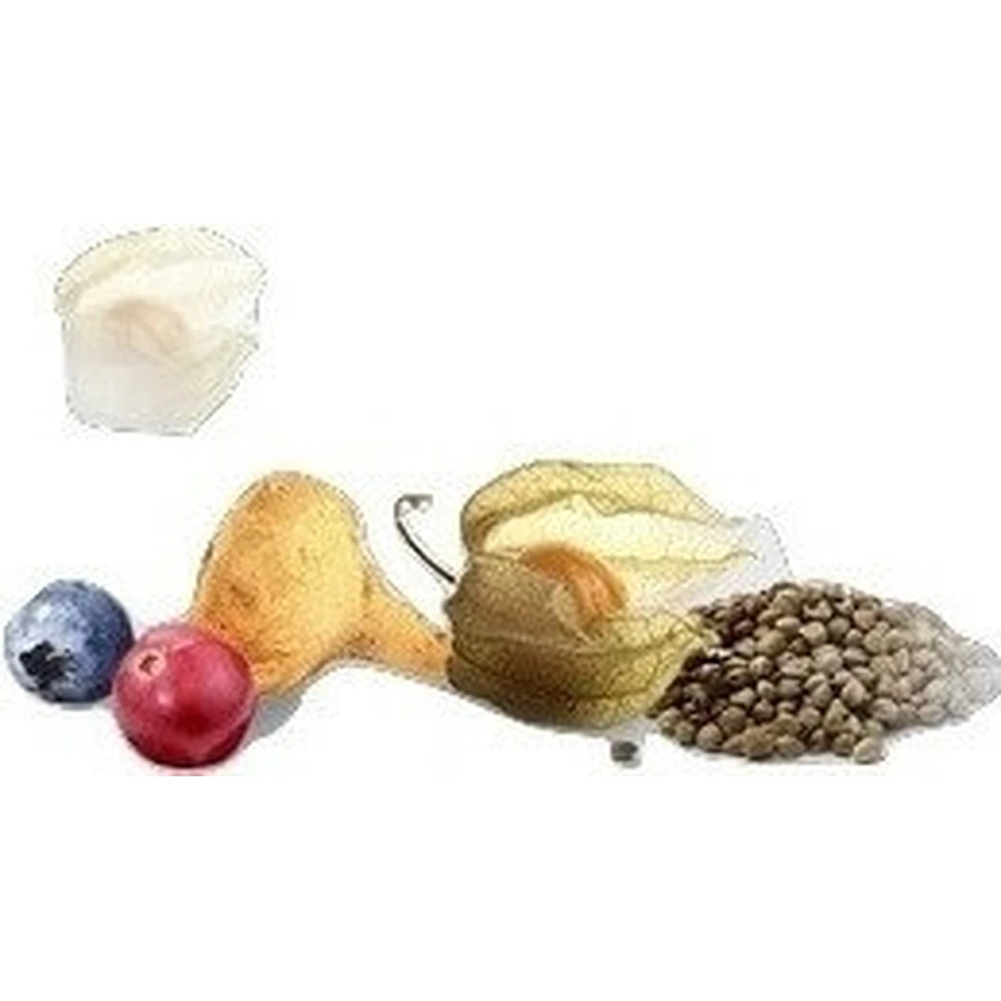 Health link BIO Acai powder 1×80g, натуральный ароматизатор: цены и характеристики
