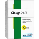 Дженерик ГІНКГО 24/6 40 мг 90 капсул