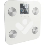 Персональные весы TrueLife FitScale W6 BT с Bluetooth: цены и характеристики