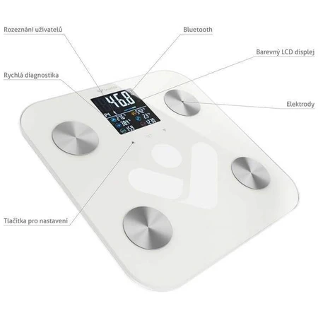 Персональные весы TrueLife FitScale W6 BT с Bluetooth: цены и характеристики