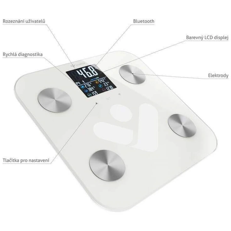 Персональные весы TrueLife FitScale W6 BT с Bluetooth: цены и характеристики