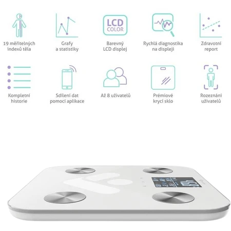 Персональные весы TrueLife FitScale W6 BT с Bluetooth: цены и характеристики