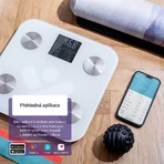 Персональные весы TrueLife FitScale W6 BT с Bluetooth: цены и характеристики