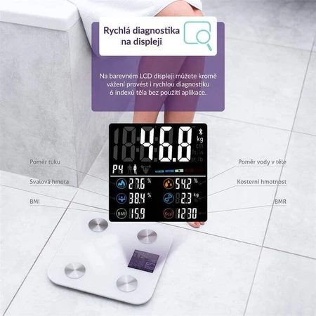 Персональные весы TrueLife FitScale W6 BT с Bluetooth: цены и характеристики