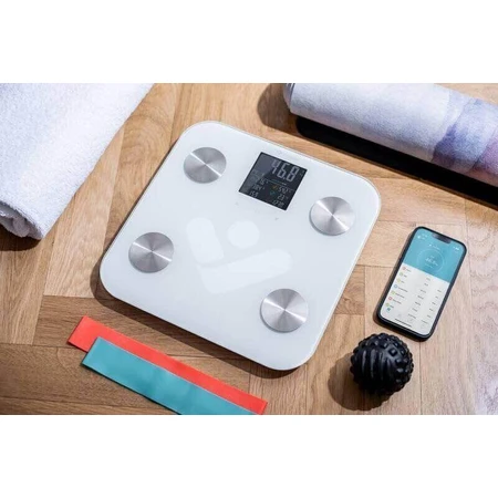 Персональные весы TrueLife FitScale W6 BT с Bluetooth: цены и характеристики