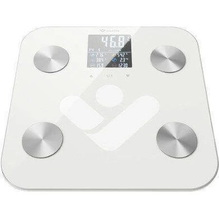 Персональные весы TrueLife FitScale W6 BT с Bluetooth: цены и характеристики