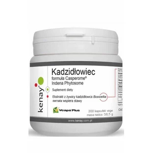 Формула ладана Casperome® Indena Phytosome 300 капсул Kenay