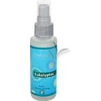 SALOOS Aroma airspray Лимон 1×50 мл спрей: цены и характеристики