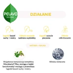 Сироп от сухого и влажного кашля Pelavo, 175 мл: цены и характеристики