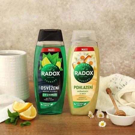 Гель для душа Radox Освежающий для мужчин 450 мл: цены и характеристики