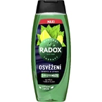 Гель для душа Radox Освежающий для мужчин 450 мл: цены и характеристики
