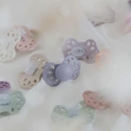 BIBS Infinity Анатомічні силіконові пустушки, розмір 1, Blossom / Dusky Lilac 2 шт.: ціни та характеристики