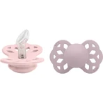 BIBS Infinity Анатомічні силіконові пустушки, розмір 1, Blossom / Dusky Lilac 2 шт.: ціни та характеристики
