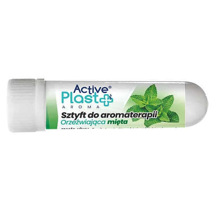 ActivePlast Aroma, ароматерапевтична паличка, зігріваюча міта, 1 штука: ціни та характеристики