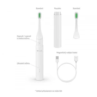 TrueLife SonicBrush T100