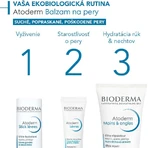 BIODERMA Atoderm Lip Balm 1×15 мл, бальзам для губ: цены и характеристики
