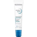BIODERMA Atoderm Lip Balm 1×15 мл, бальзам для губ: цены и характеристики