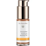 Тонуючий флюїд Dr. Hauschka 18 мл