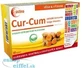 Astina Cur-Cum 1×60 cps, куркумін, що добре засвоюється