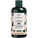 The Body Shop Кондиционер для сухих и ломких волос Ши 1×250 мл, кондиционер: цены и характеристики