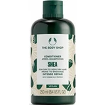 The Body Shop Кондиционер для сухих и ломких волос Ши 1×250 мл, кондиционер: цены и характеристики