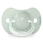 Suavinex Dreams SX Pro, физиологический манекен, силикон, зеленый, 6-18 месяцев, 2 штуки: цены и характеристики