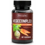 Skoczylas Vegecomplex холин 60 капсул: цены и характеристики