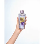 L'Oréal Paris Hyaluron Specialist Лосьон и спрей 200 мл: цены и характеристики