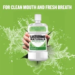 Listerine Naturals Gum Protect 2 x 500 мл: цены и характеристики