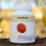 Mycomedica Agaricus 30% Vegan 500 мг 90 капсул 1×90 капсул: ціни та характеристики