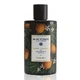 Blue Scents