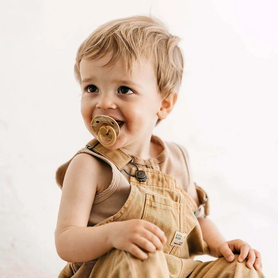 BIBS Colour Natural Cocoa Soothers - , возраст 3 года, Sage nony/Cloud nony 2 шт.: цены и характеристики