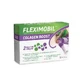 Fleximobil Collagen Boost, 10 пакетиков, Fiterman