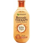 Garnier BOTANIC THERAPY HONEY SHAMPOO 1×250 мл, шампунь: ціни та характеристики