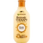Garnier BOTANIC THERAPY HONEY SHAMPOO 1×250 мл, шампунь: ціни та характеристики