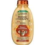 Garnier BOTANIC THERAPY HONEY SHAMPOO 1×250 мл, шампунь: ціни та характеристики
