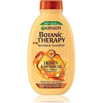 Garnier BOTANIC THERAPY HONEY SHAMPOO 1×250 мл, шампунь: ціни та характеристики