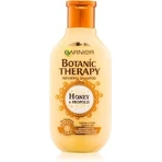 Garnier BOTANIC THERAPY HONEY SHAMPOO 1×250 мл, шампунь: ціни та характеристики