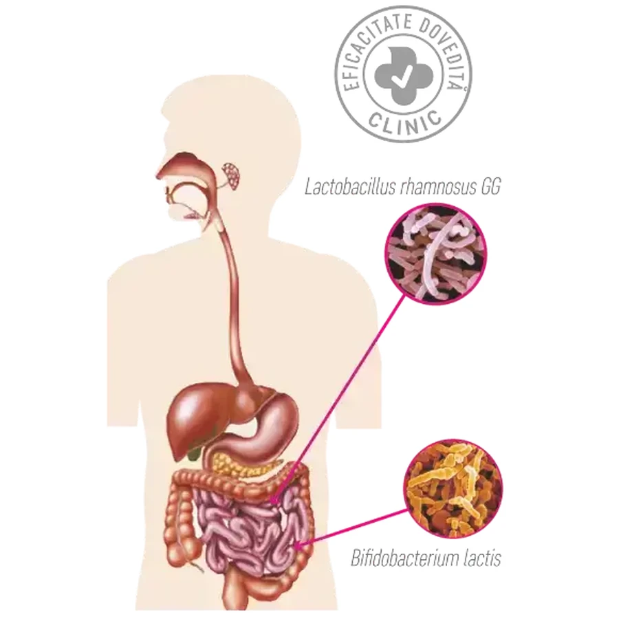 Impruvis Probiotic Fast Melt Bifodan, 10 пакетиков: цены и характеристики