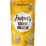 Allnature Сублімовані шматочки ананаса 30 г