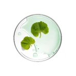 Mizon Cicaluronic Water Fit Mask - Успокаивающая веганская маска 24 г: цены и характеристики