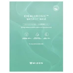Mizon Cicaluronic Water Fit Mask - Успокаивающая веганская маска 24 г: цены и характеристики