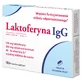 Pharmabest Лактоферрин IgG, 15 пастилок