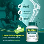 Genacol Collagen Aminolock, 90 капсул, Dermaplant: цены и характеристики