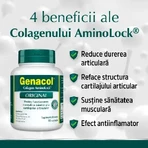 Genacol Collagen Aminolock, 90 капсул, Dermaplant: цены и характеристики