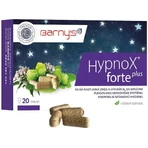 Barny's HypnoX FORTE plus 20 таблеток: цены и характеристики