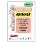 Картонное животное Bebe Vede, +9 месяцев, Amona