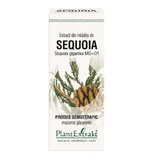 Экстракт Секвойи Plant Extract Sequoia, 50 мл