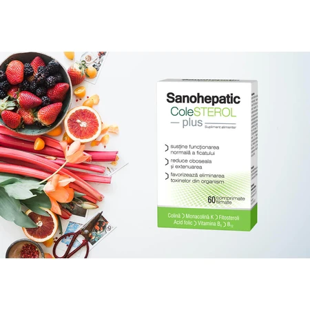 Саногепатик ХолеСтерол Плюс Zdrovit Sanohepatic ColeSterol Plus, таблетки, вкриті плівковою оболонкою, 60 шт.: ціни та характеристики